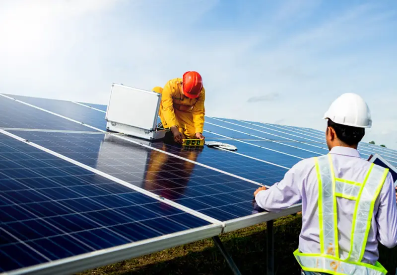 Procurement Services